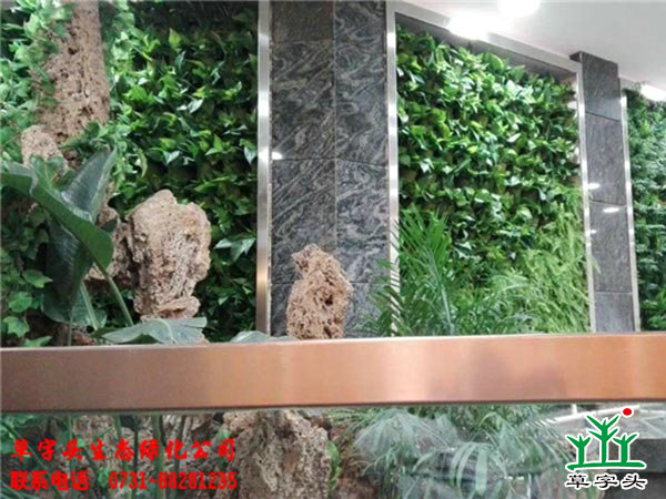 長沙皇冠假日酒店室內垂直綠化植物墻