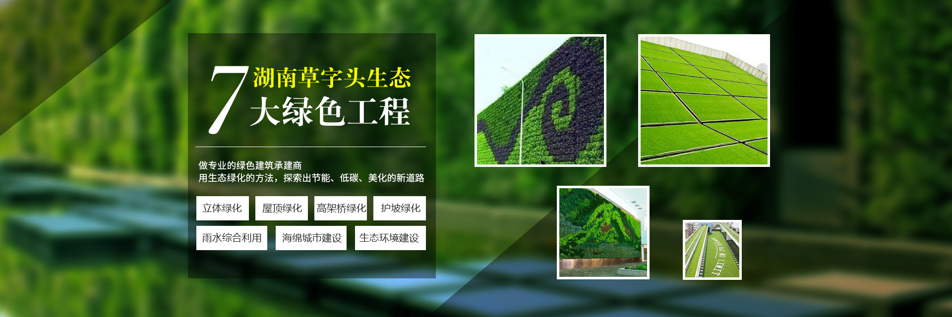 湖南草字頭生態環境建設有限公司|專注于生態修復和綠化環保事業